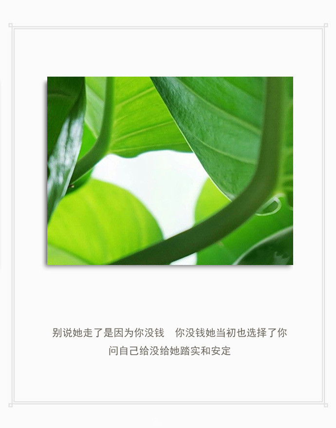 文字心情,备忘录,文艺文字,文字图片,文字美图,微博配图,说说配图