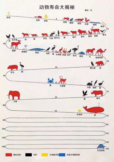动物寿命排行图图片