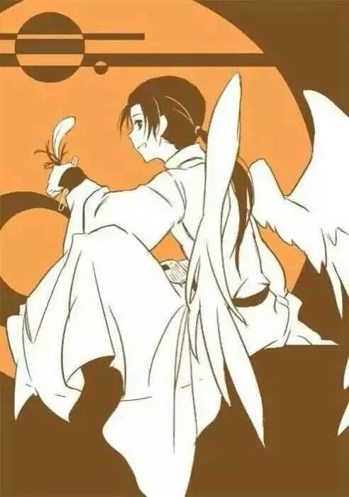 aph 团头 天使 王耀