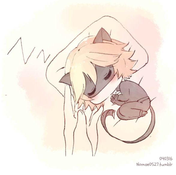 瓢虫雷迪和黑猫诺儿 爱情,漫画,蒙面,四格,真面目,魔法