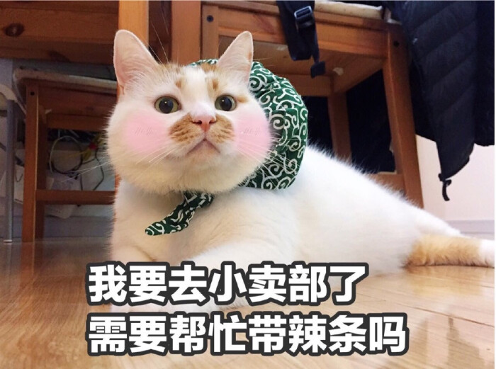 楼楼表情包.源自:@找图君.