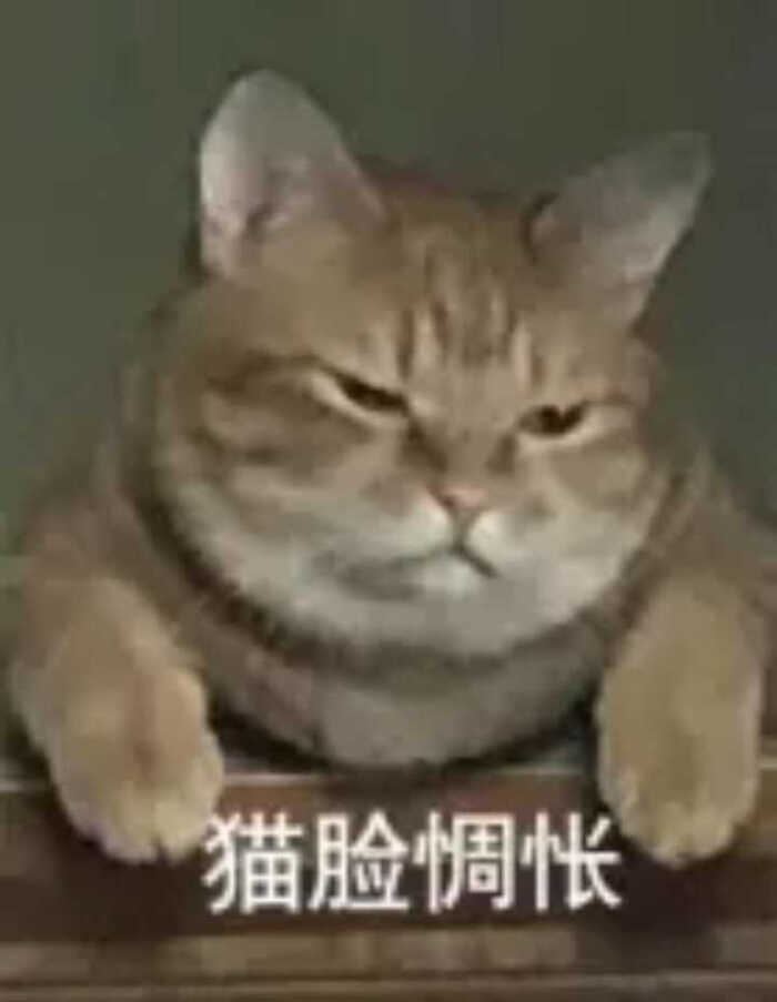 满脸a表情猫猫表情超级表情包的开心搞笑图片