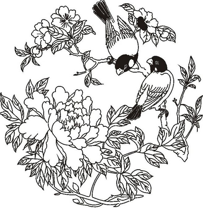 牡丹