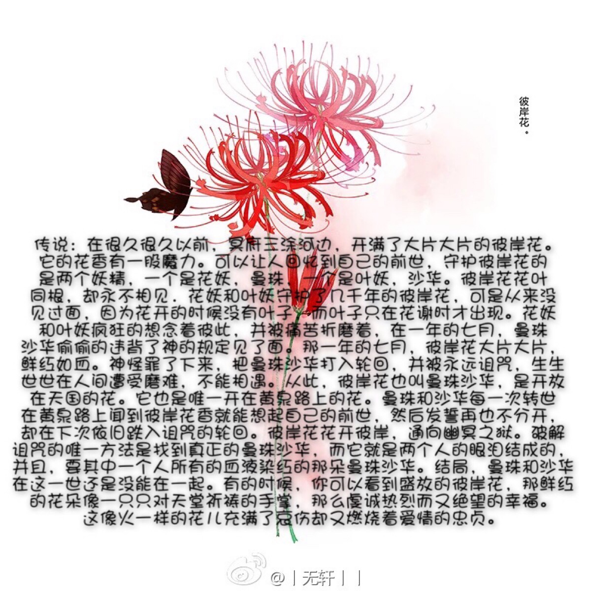 曼珠和沙华
