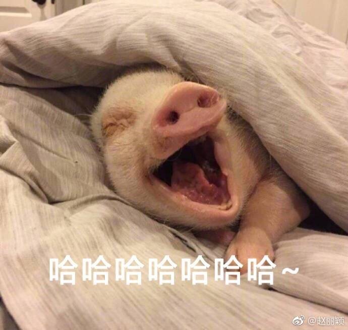 表情累觉不爱表情包搜狗幸运礼包图片