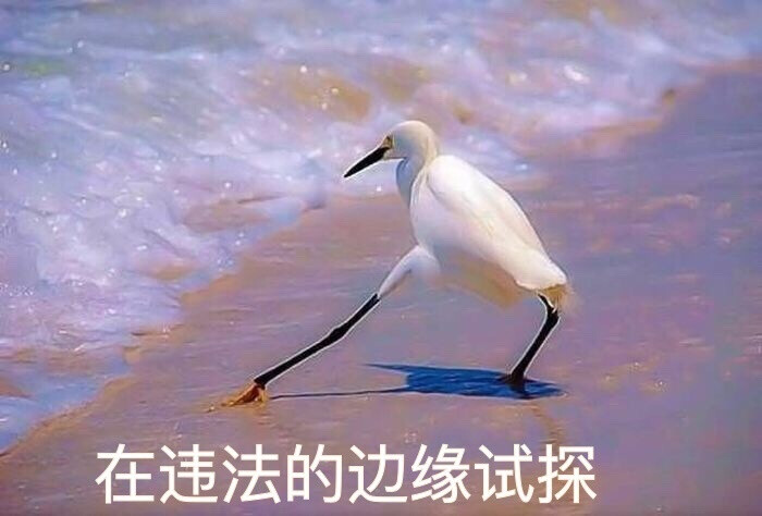 在违法边缘试探 表情