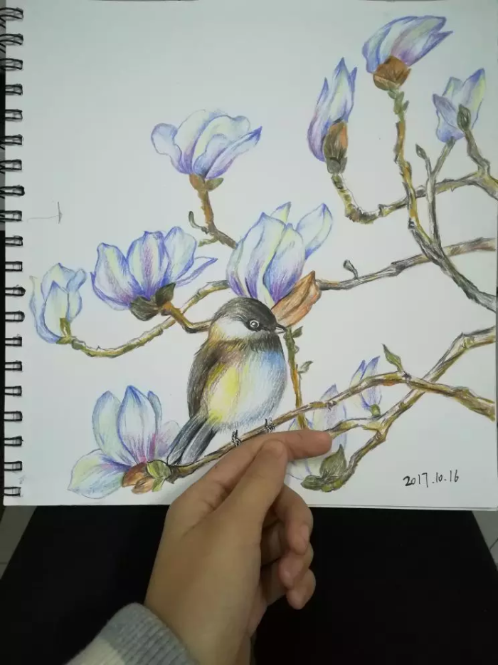手绘 彩铅 栀子花 鸟