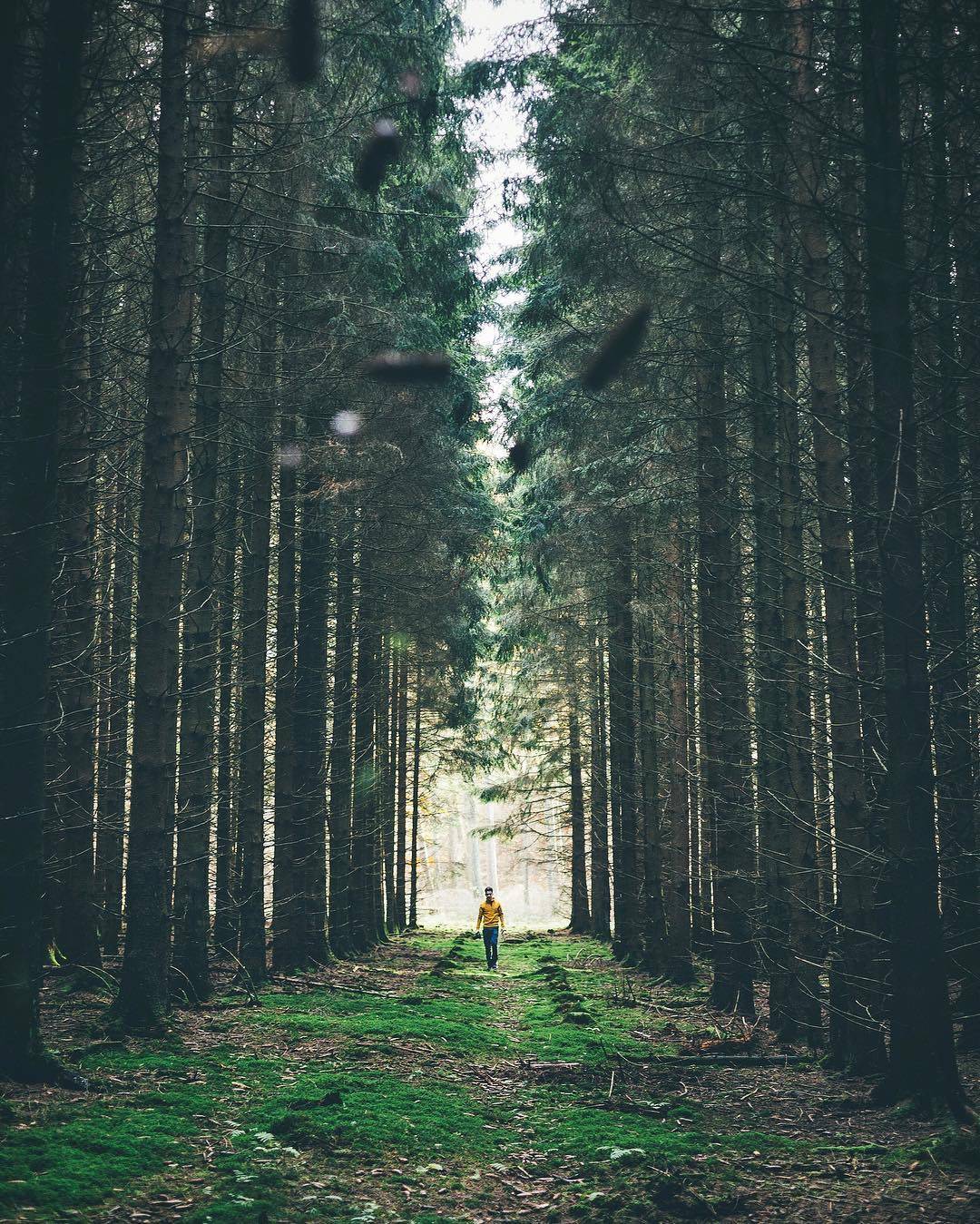 旅拍 纵深(突出背景,缩小人物比例)