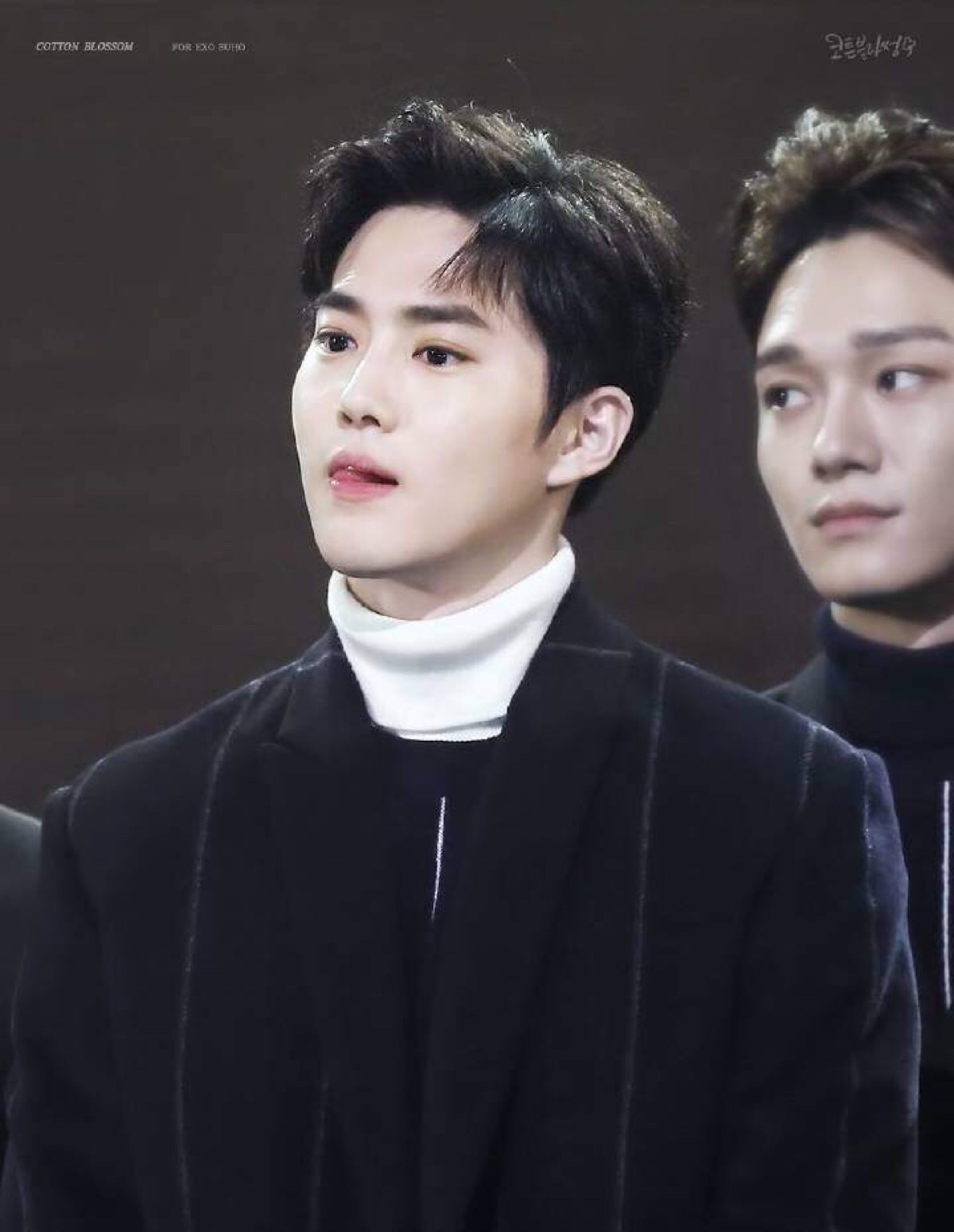 exo 金俊勉 suho