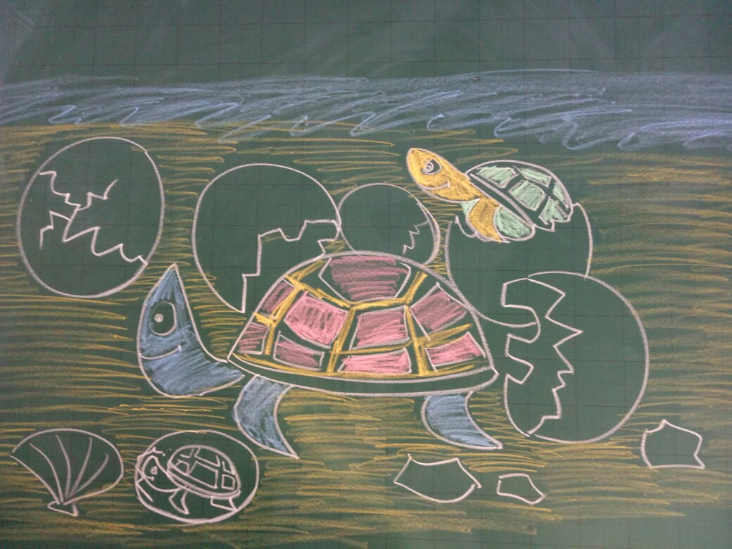 乌龟孵化简笔画图片