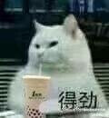 系列 高糊表情包 喵咪 熊猫头 gif 金馆长 斗图 文字系列 厉害了 装逼