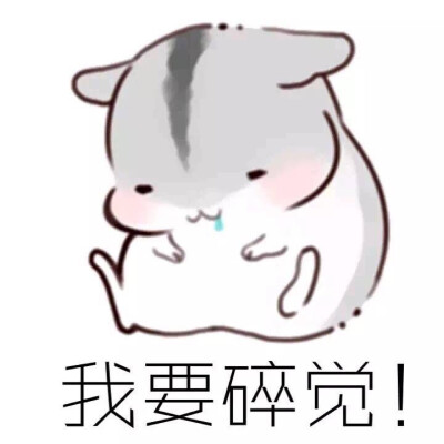 小仓鼠萌萌哒