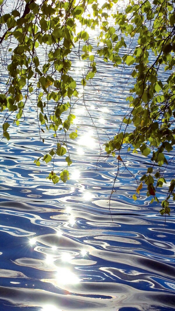 手机壁纸 小清新 风景
