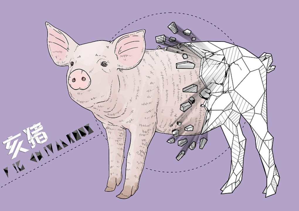十二生肖半低面化水彩插画——亥猪