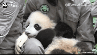 400_228gif 动态图 动图