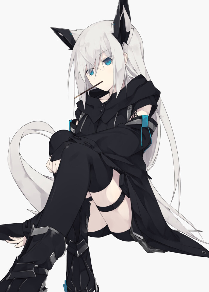 【虎斑*收集】二次元 兽耳 萌娘 手绘 美 动漫 意境 插画 头像 壁纸