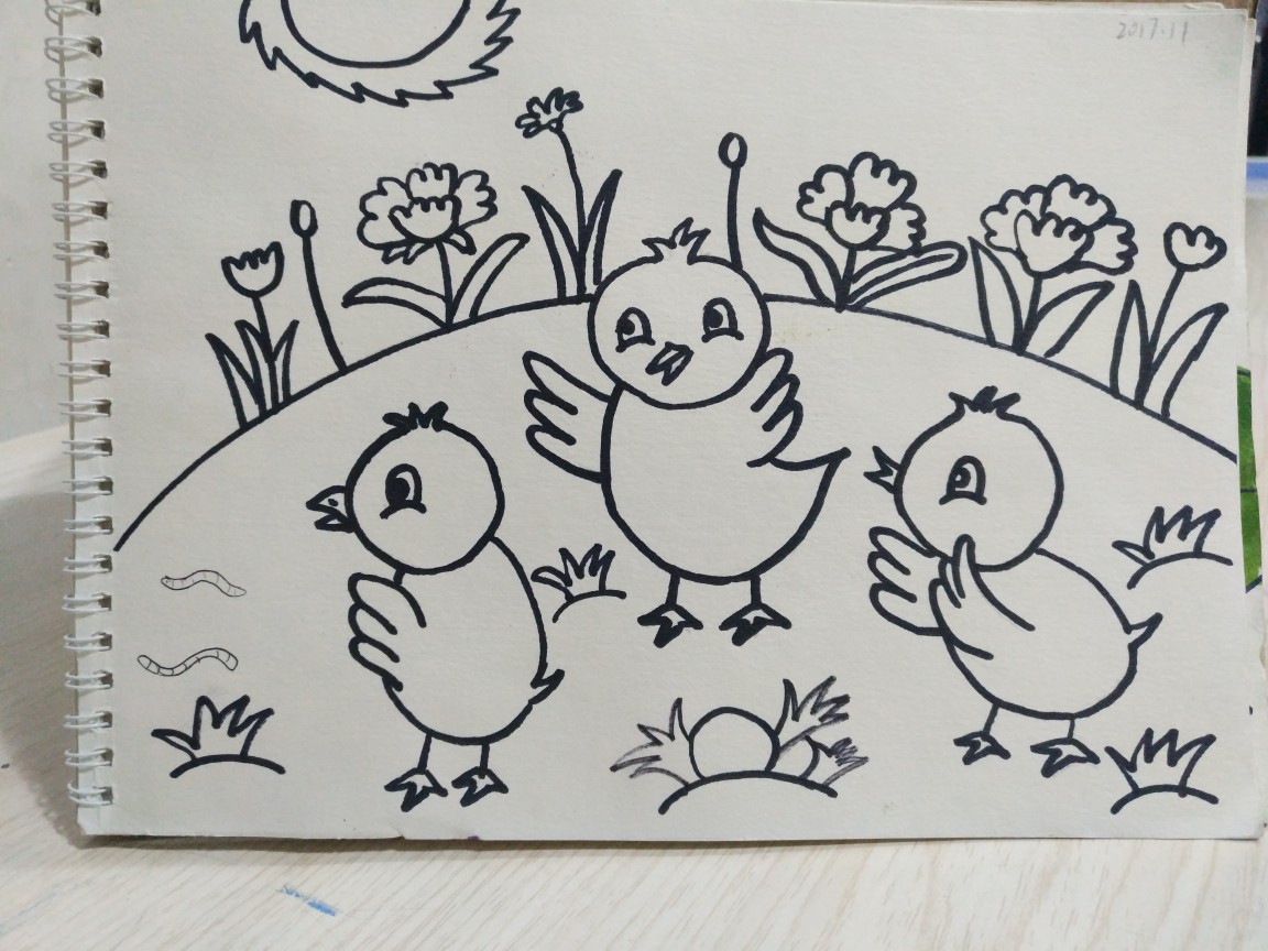 鸡群怎么画简笔画图片
