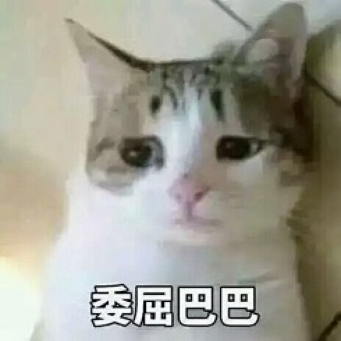 委屈巴巴