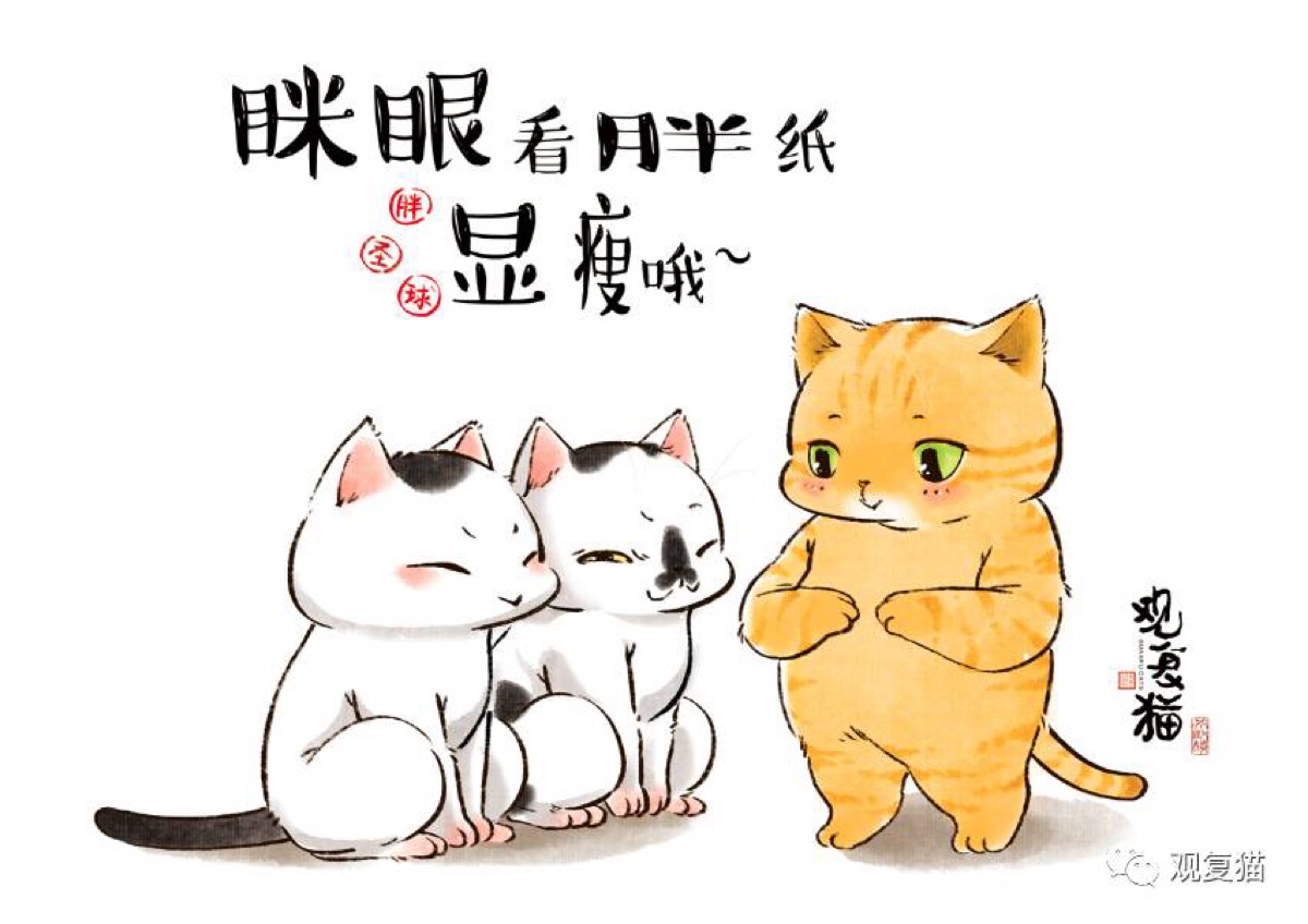 观复猫可爱图