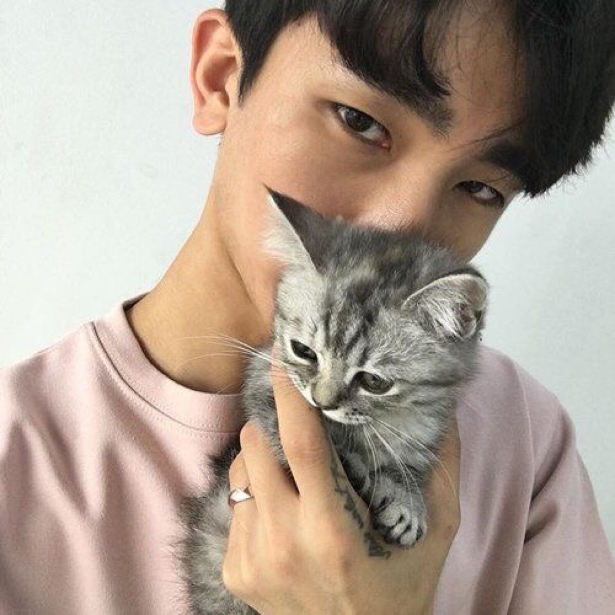 男生真人,猫咪,喵星人头像