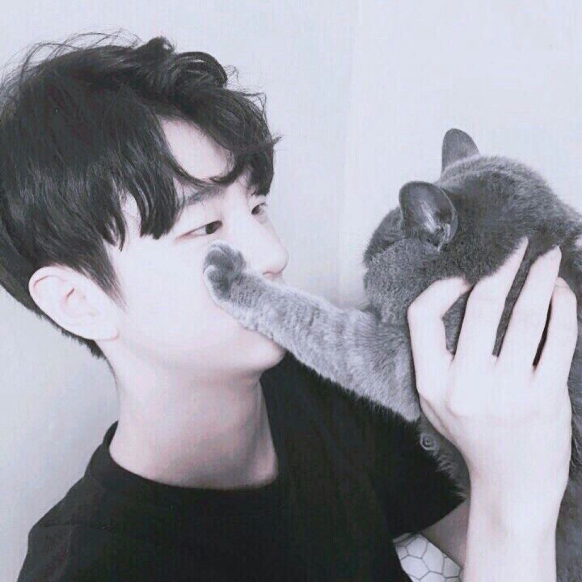 男生真人,猫咪,喵星人头像