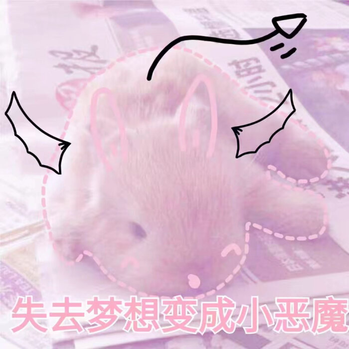 兔纸の表情的飞吻动态图片表情包图片