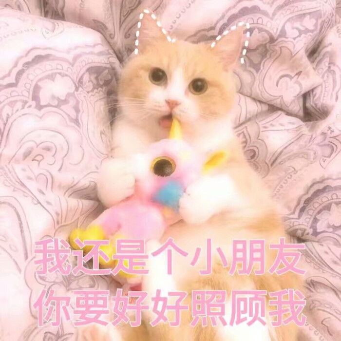 可爱.软妹表情包阿.
