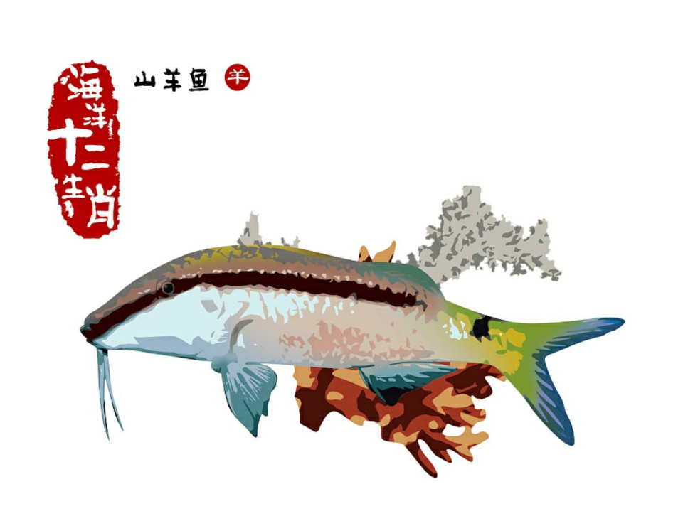 会游泳的猪*海洋十二生肖——山羊鱼