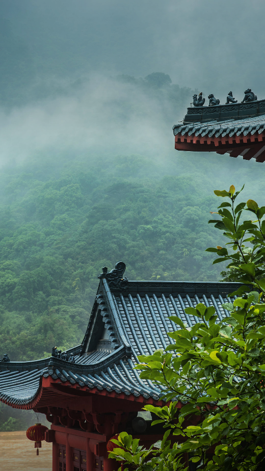 空山新雨后意境图图片