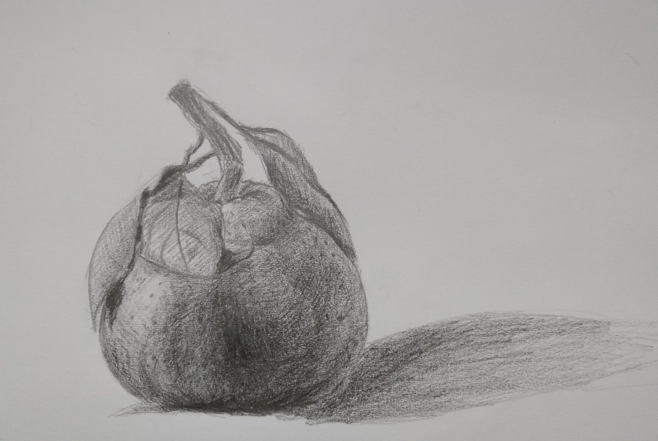 一只丑柑 (体积感练习)