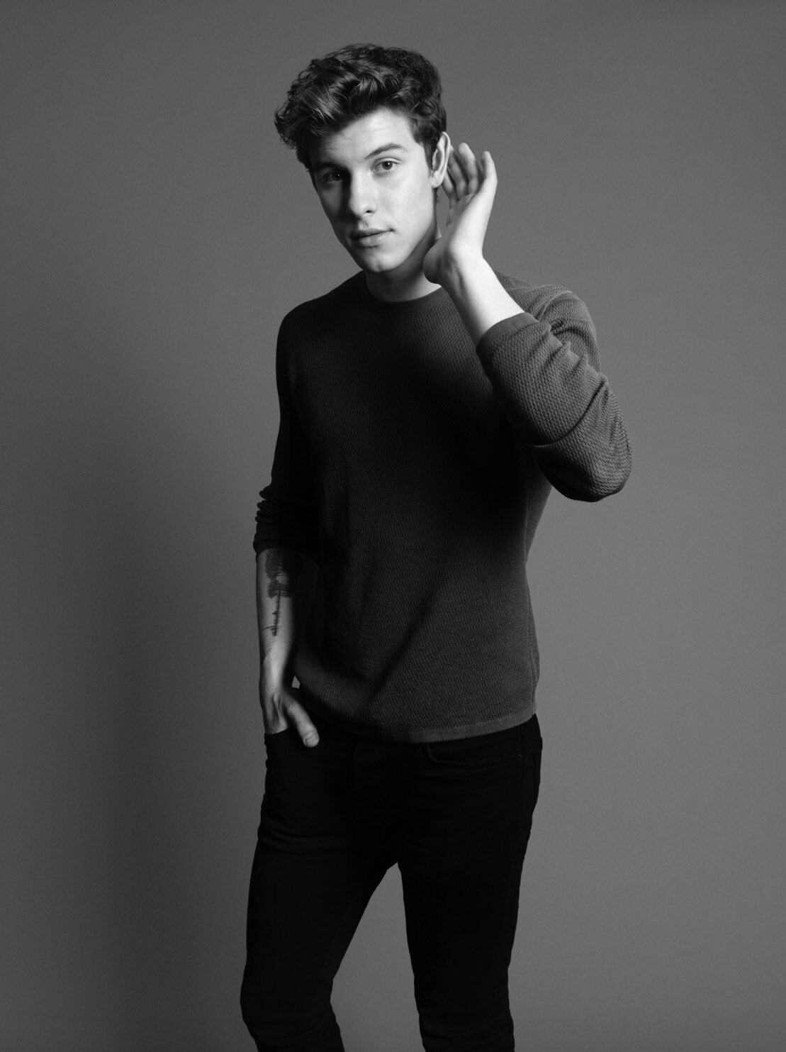 shawn mendes萌德