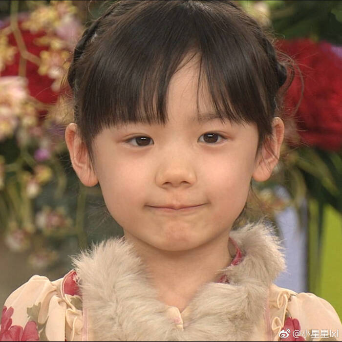 芦田爱菜