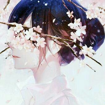 樱花的好,不及他的好.