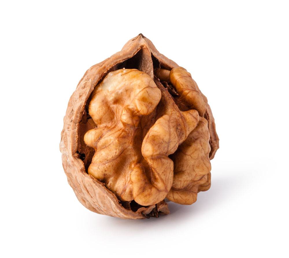 核桃摄影