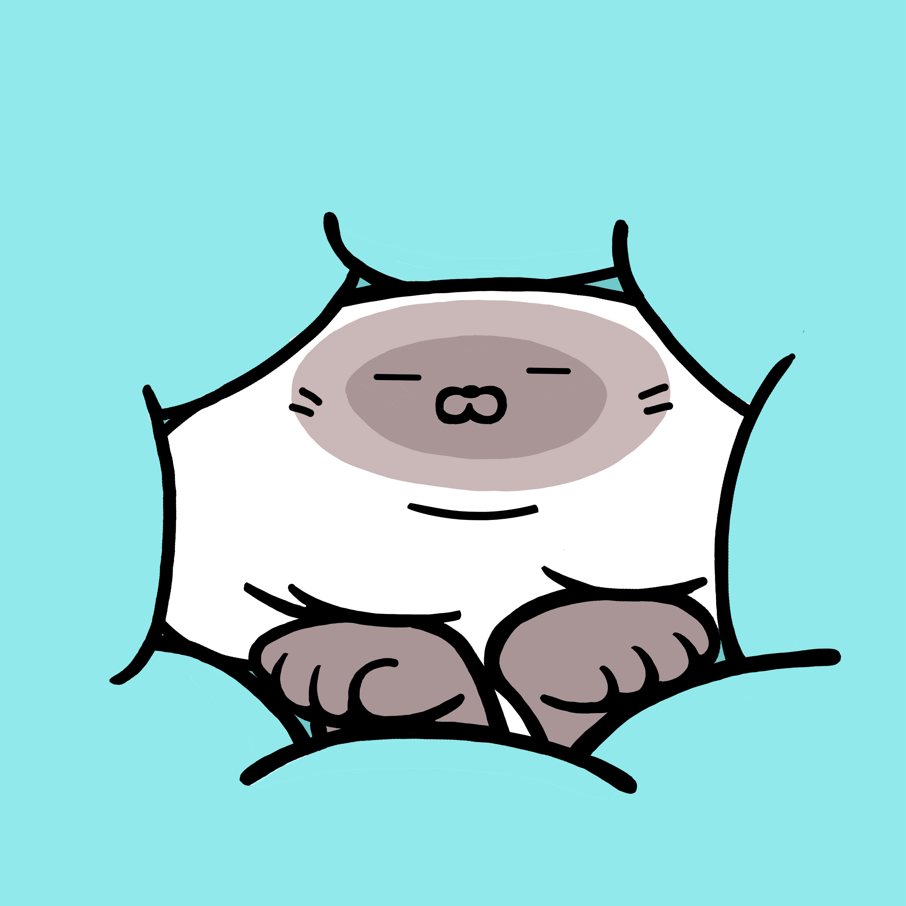 一对懒癌晚期,赖在被窝的猫咪.