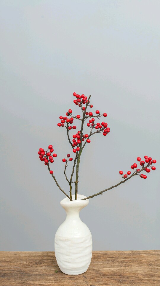 冬青,壁纸