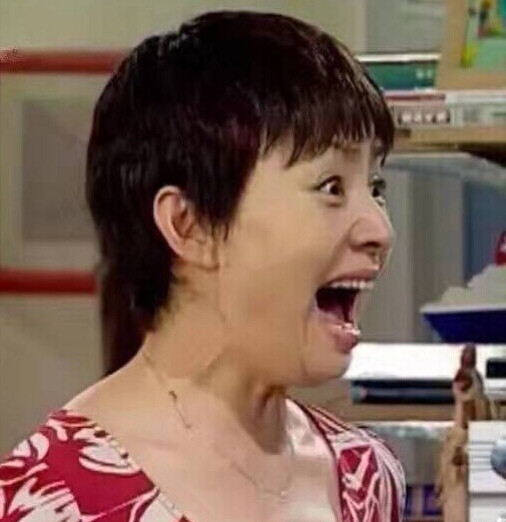 家有儿女 团头 刘梅
