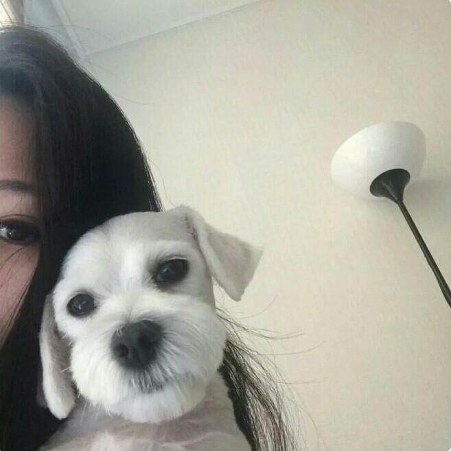 男头女头抱猫抱狗爱心满满你是最特别的那一个