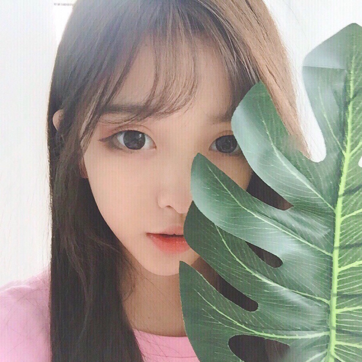 韩系头像# #可爱# #清新# #搞怪# #森系# #意境# #日系头像# 喜欢