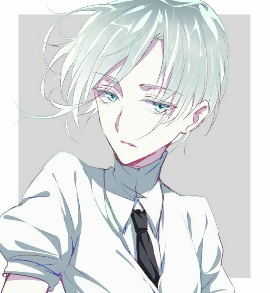 宝石之国 南极石