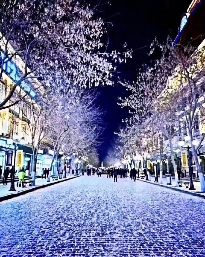 [cp]哈尔滨大雪纷飞的夜晚,漫步雪中,想想就很美! [/cp]