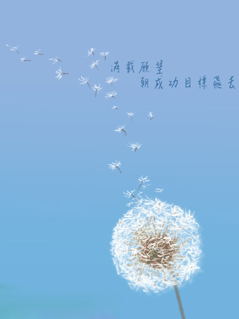蒲公英 