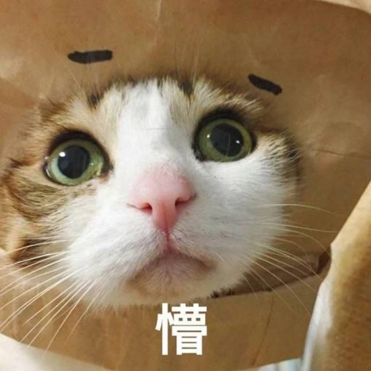 懵的