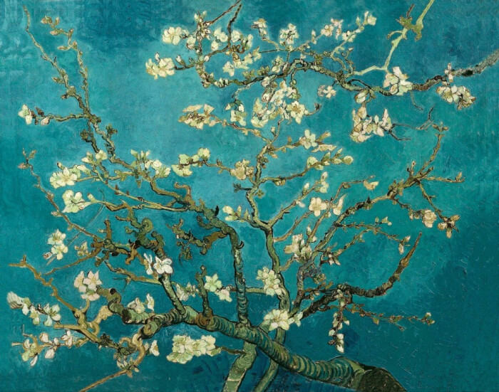 梵高 杏花 1890