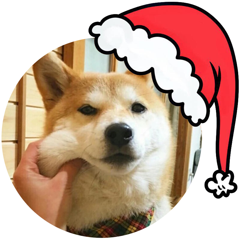 戴圣诞帽的狗头像图片