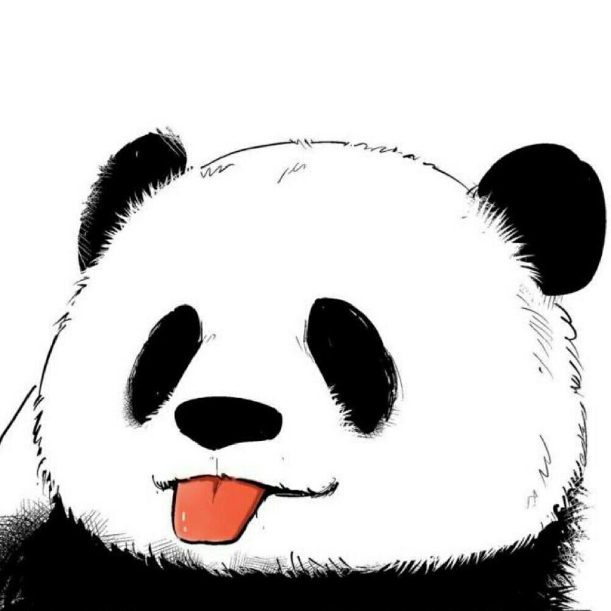 熊猫头图片qq图像图片