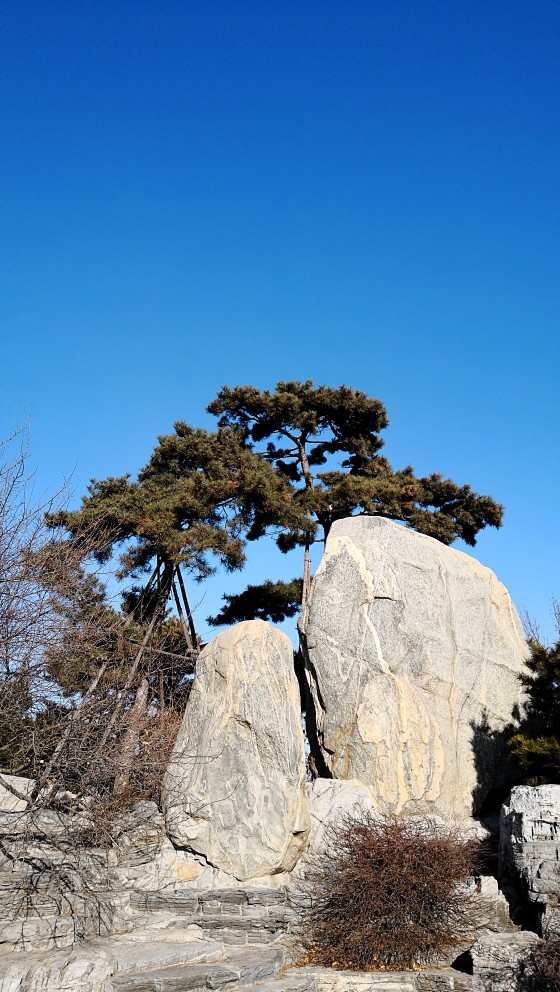 奥森仰山