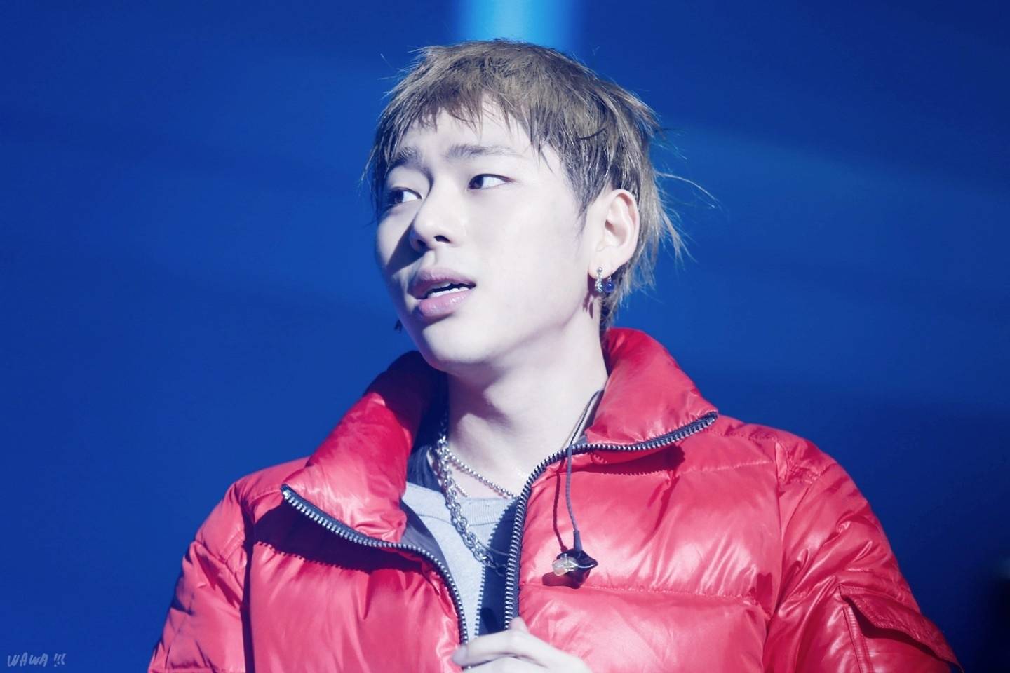 zico 圣诞