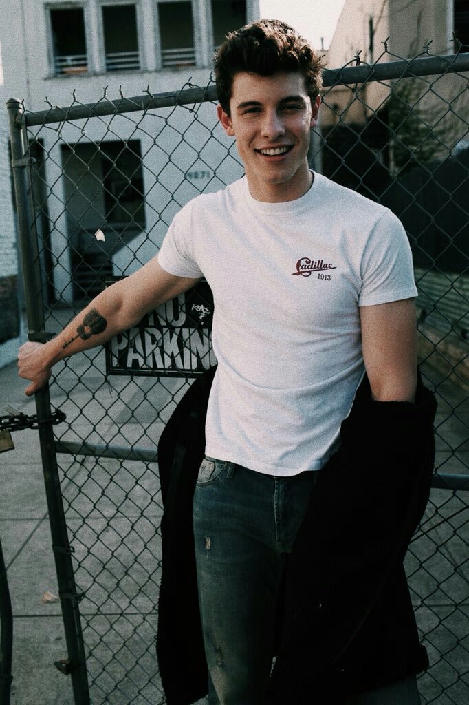 shawn mendes萌德