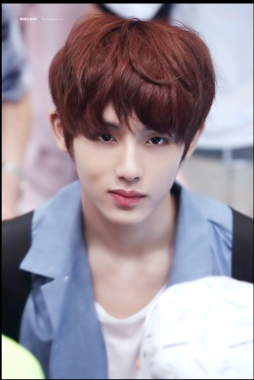 nct127 winwin 董思成